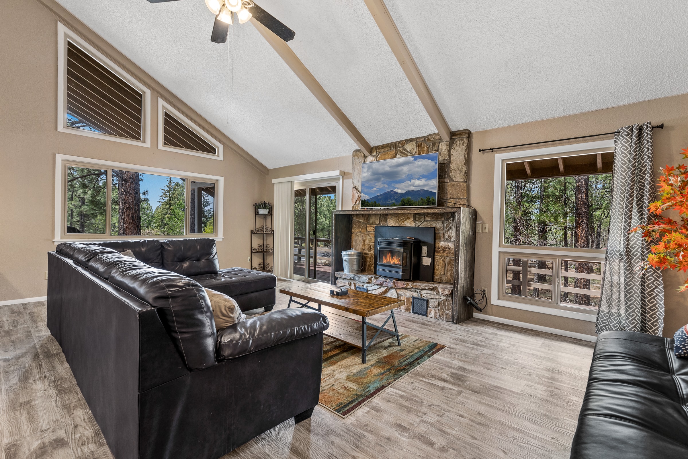 1300 N. La Costa Lane photo 3